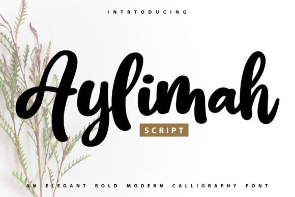 Aylimah: A Bold Calligraphy Script for Modern Creators