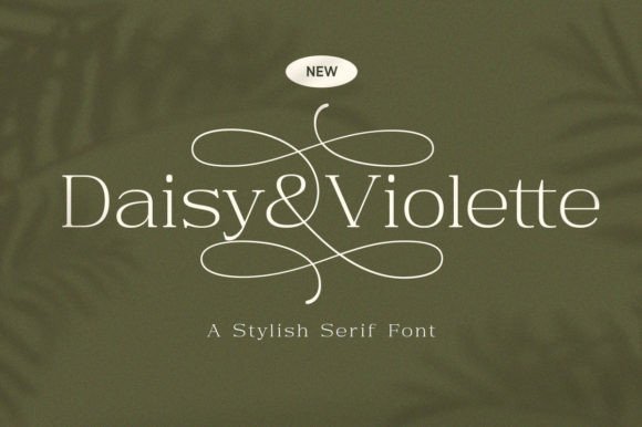 Daisy & Violette: A Modern Serif with Timeless Grace